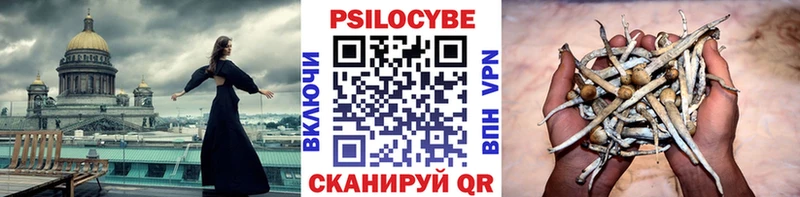 купить наркоту  Светлогорск  Псилоцибиновые грибы Magic Shrooms 